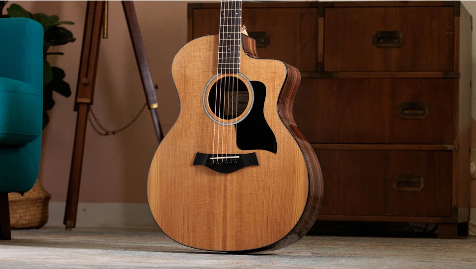 214ce Plus Indian Rosewood Acoustic-Electric Guitar | Taylor Guitars