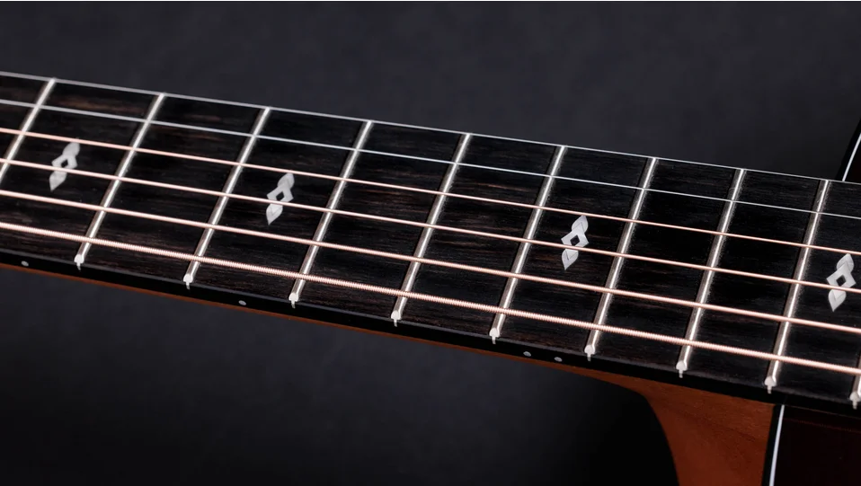 50th Anniversary 217e-SB Plus LTD Indian Rosewood Acoustic