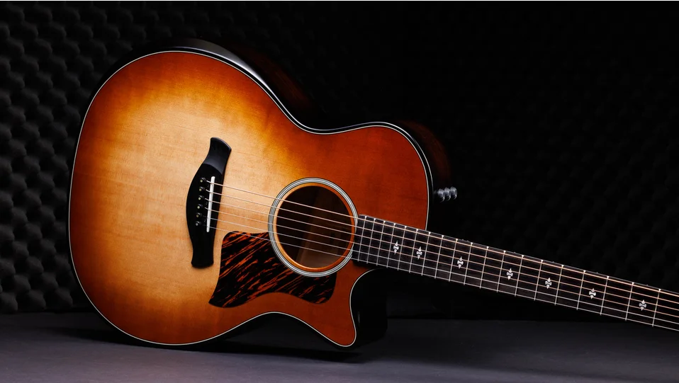 50th Anniversary Builder's Edition 314ce LTD Shamel Ash Acoustic