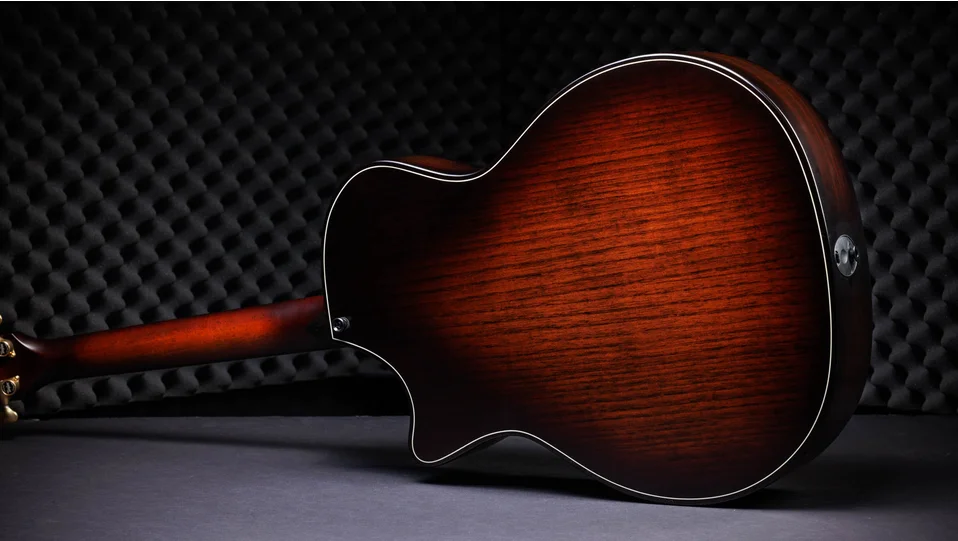 50th Anniversary Builder's Edition 314ce LTD Shamel Ash Acoustic