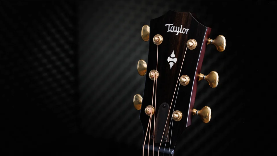 50th Anniversary Builder's Edition 314ce LTD Shamel Ash Acoustic