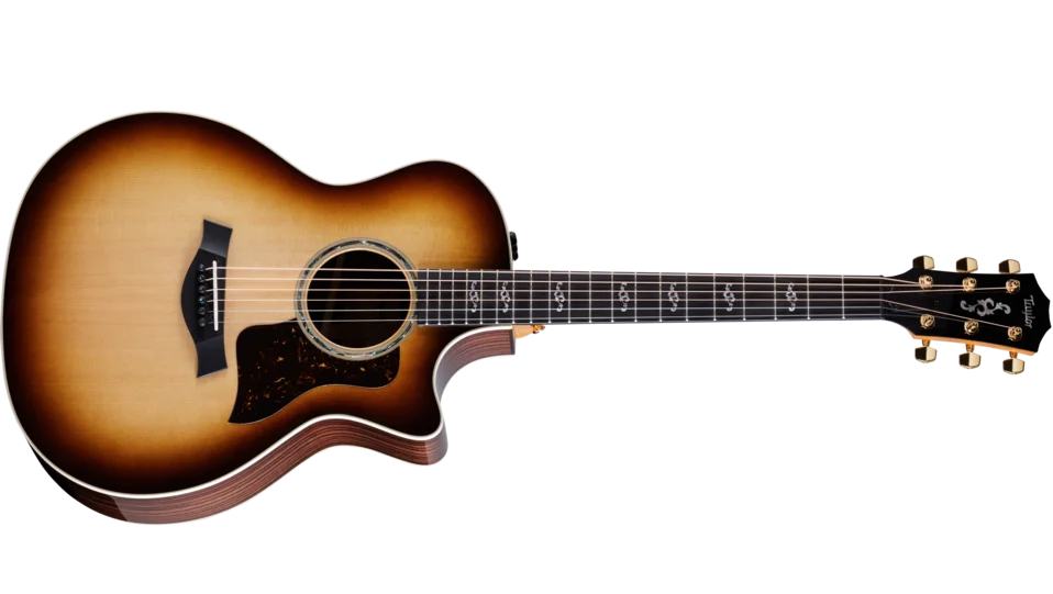 Taylor-Custom-414ce-1204193002