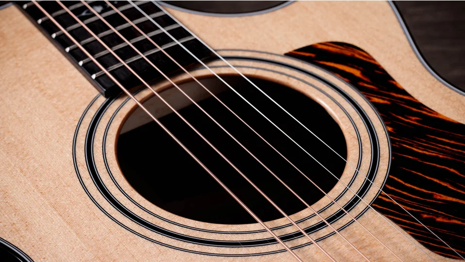 312ce Sapele Acoustic-Electric Guitar | Taylor Guitars