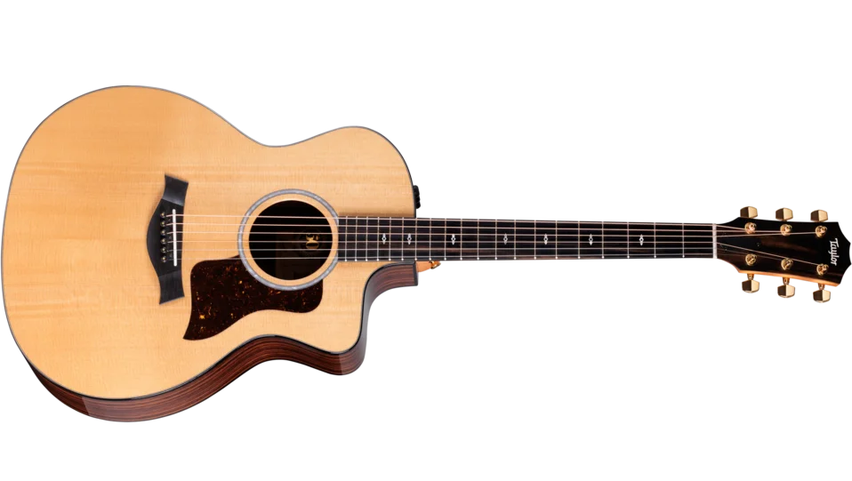 Taylor-50th-Anniversary-214ce-