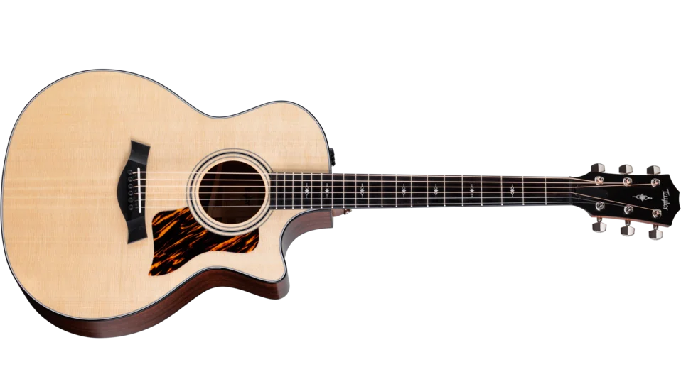 Taylor 314ce - akustická kytara