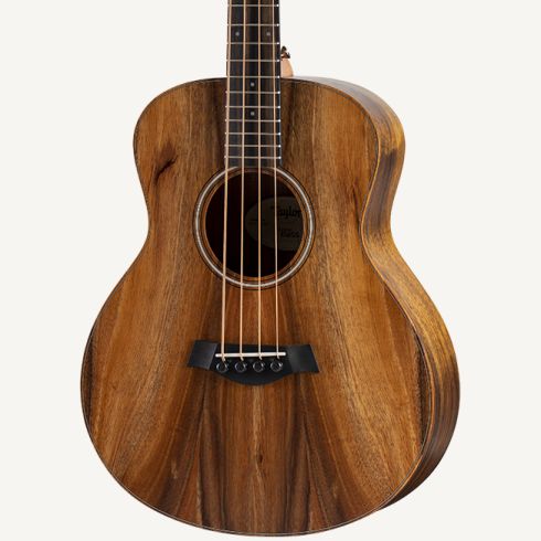 taylor gs mini 2020