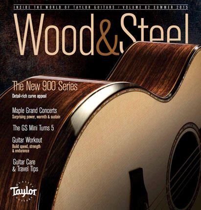 taylor guitars wood and steel