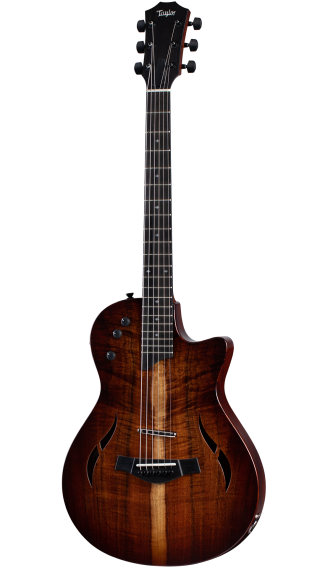 Taylor store t5 custom