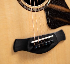 Lutz Spruce | Taylor Guitars