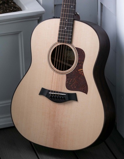 Echo, Sitka Spruce Dreadnought Acoustic Guitar