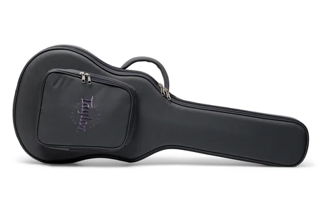 Hard Cases for Guitars - Acoustic & Hybrid | Taylor Guitars