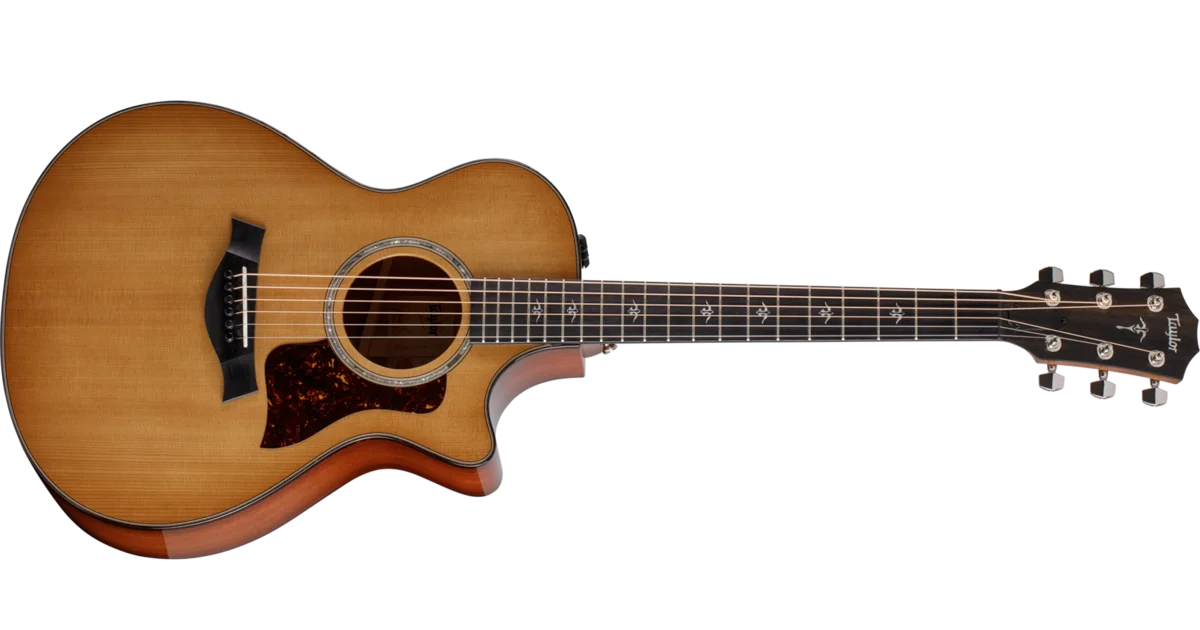 Taylor 512ce アコースティックギター 512ce Red Ironbark Acoustic-Electric Guitar | Taylor Guitars