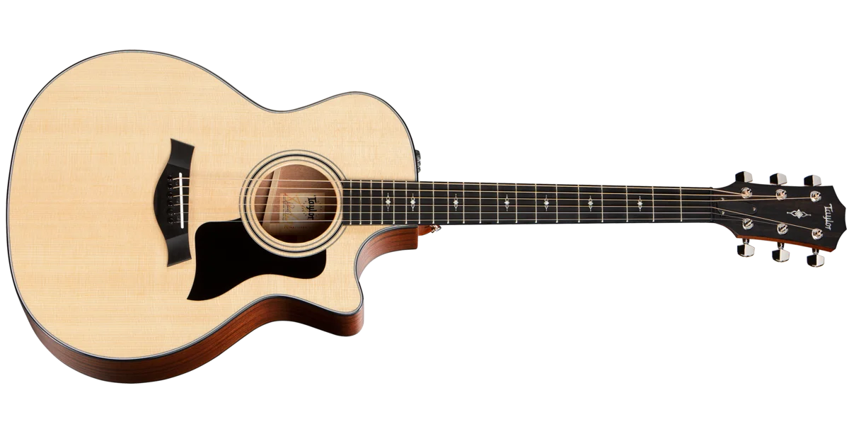 314ce Acoustic Guitar | Taylor Guitars