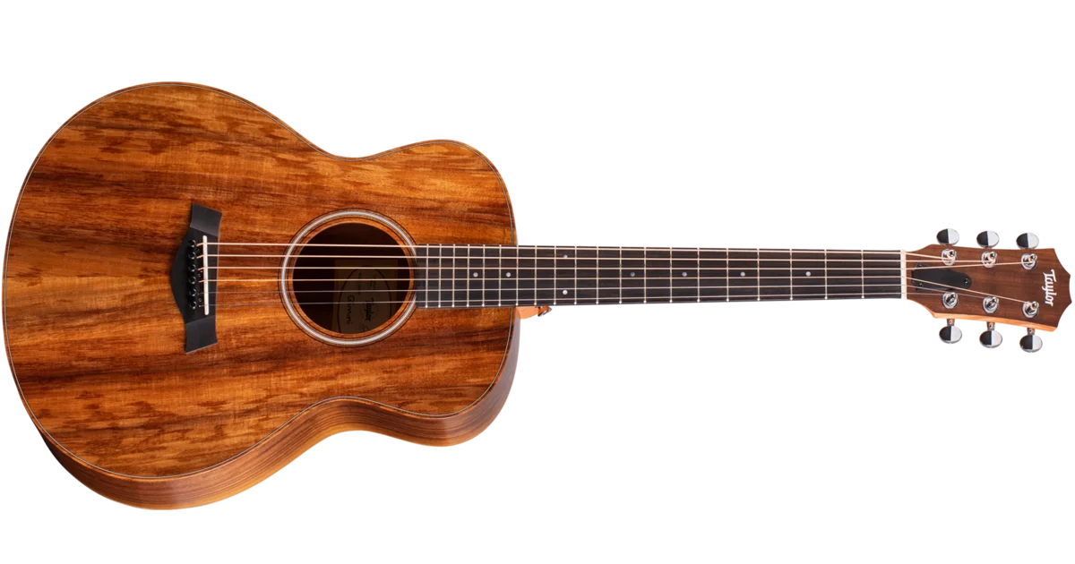 TW-GS-Mini-e-Koa-2203192469-