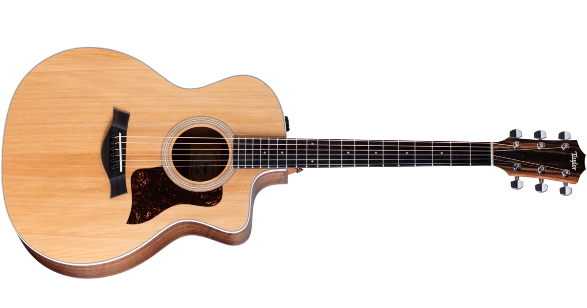ギター Taylor 214ce es2 Taylor 214ce Special Edition Tigerwood ES2 Electronics Acoustic