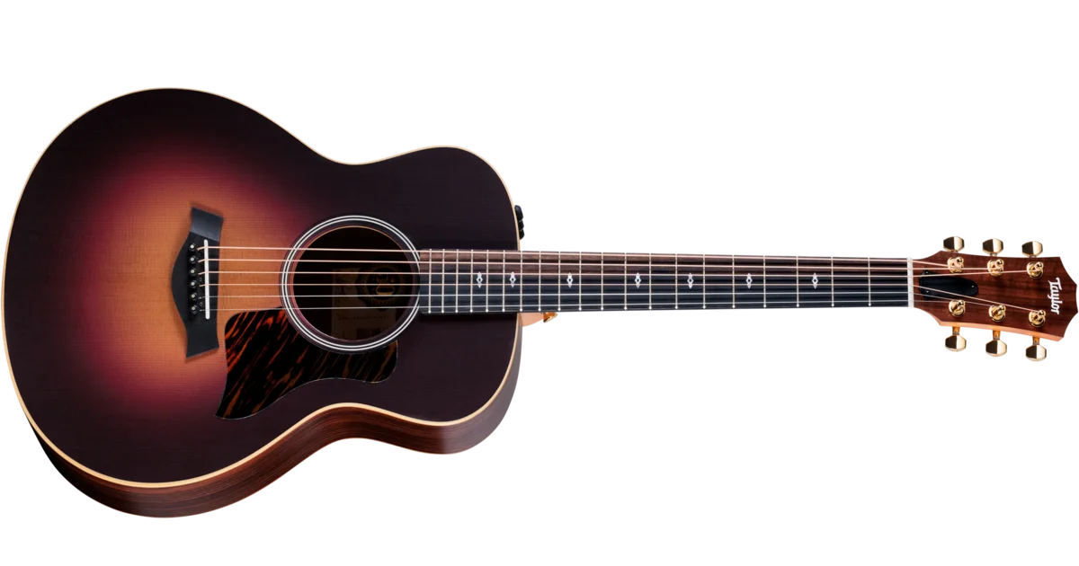 ギター Taylar GSmini 50th Anniversary GS Mini-e Rosewood SB LTD Indian Rosewood