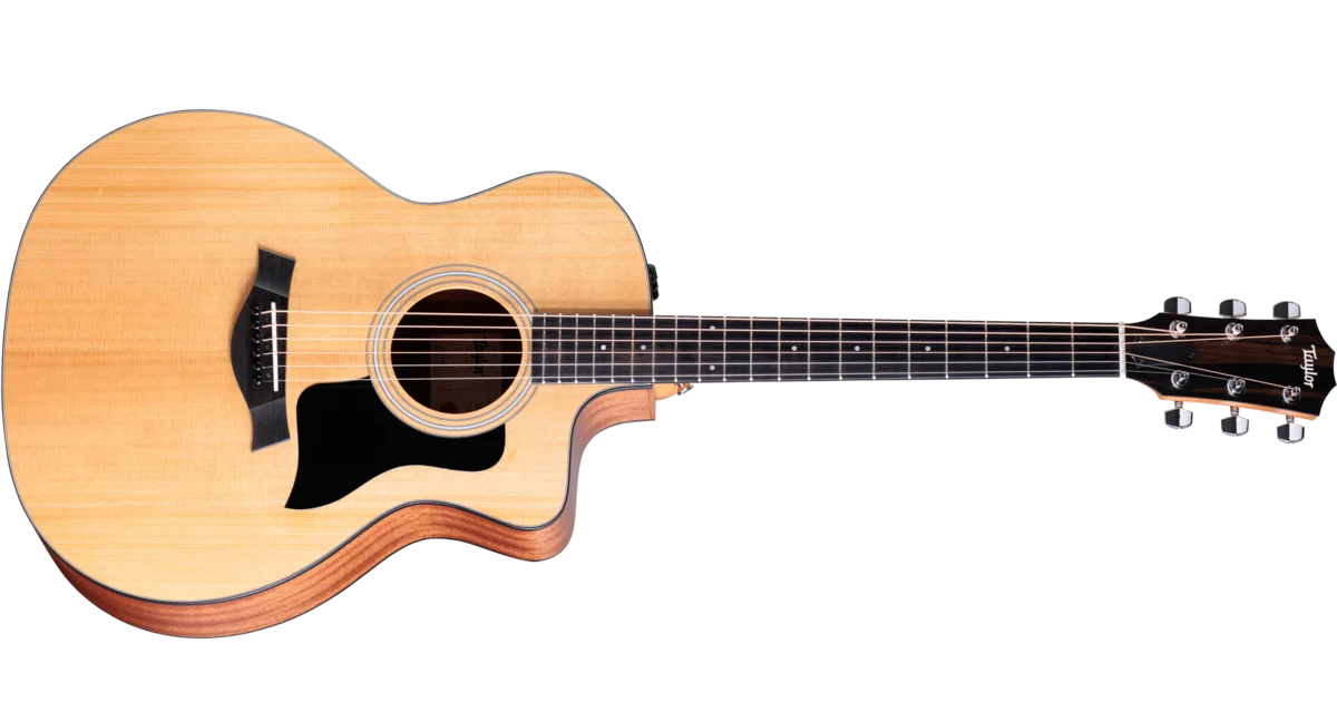 ギター Taylor 114 CE walnat Taylor - 114ce Acoustic Guitar with gigbag | Mass Street Music