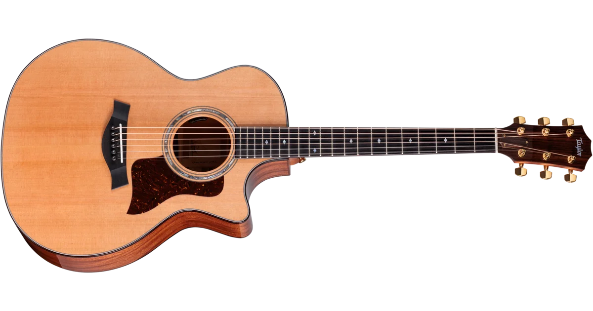 Taylor-514ce-Legacy-1204194123