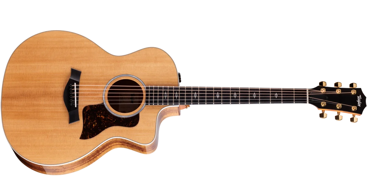 タ*ケ様 Taylor 214ce-k DLX 2021年製 ハードケース付 214ce-K