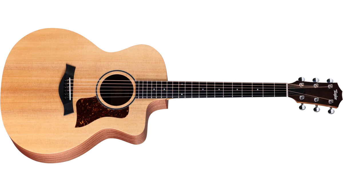 Taylor-14ce-LTD-2201145102-